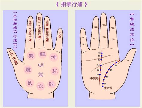 修行手相|手相怎麼看？認識富貴命手相、五嶽朝天與孔子眼的外。